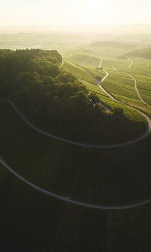 Brackenheim, Kraichgau-Stromberg, Baden-Württemberg, Deutschland
